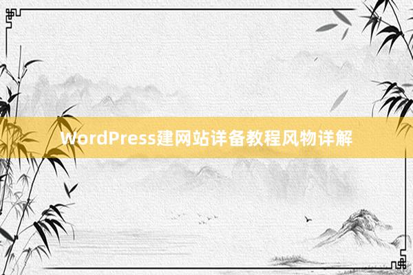 WordPress建网站详备教程风物详解